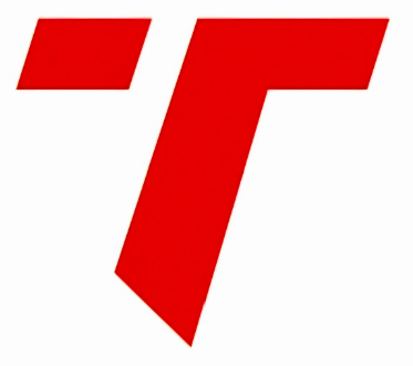Transtern logo
