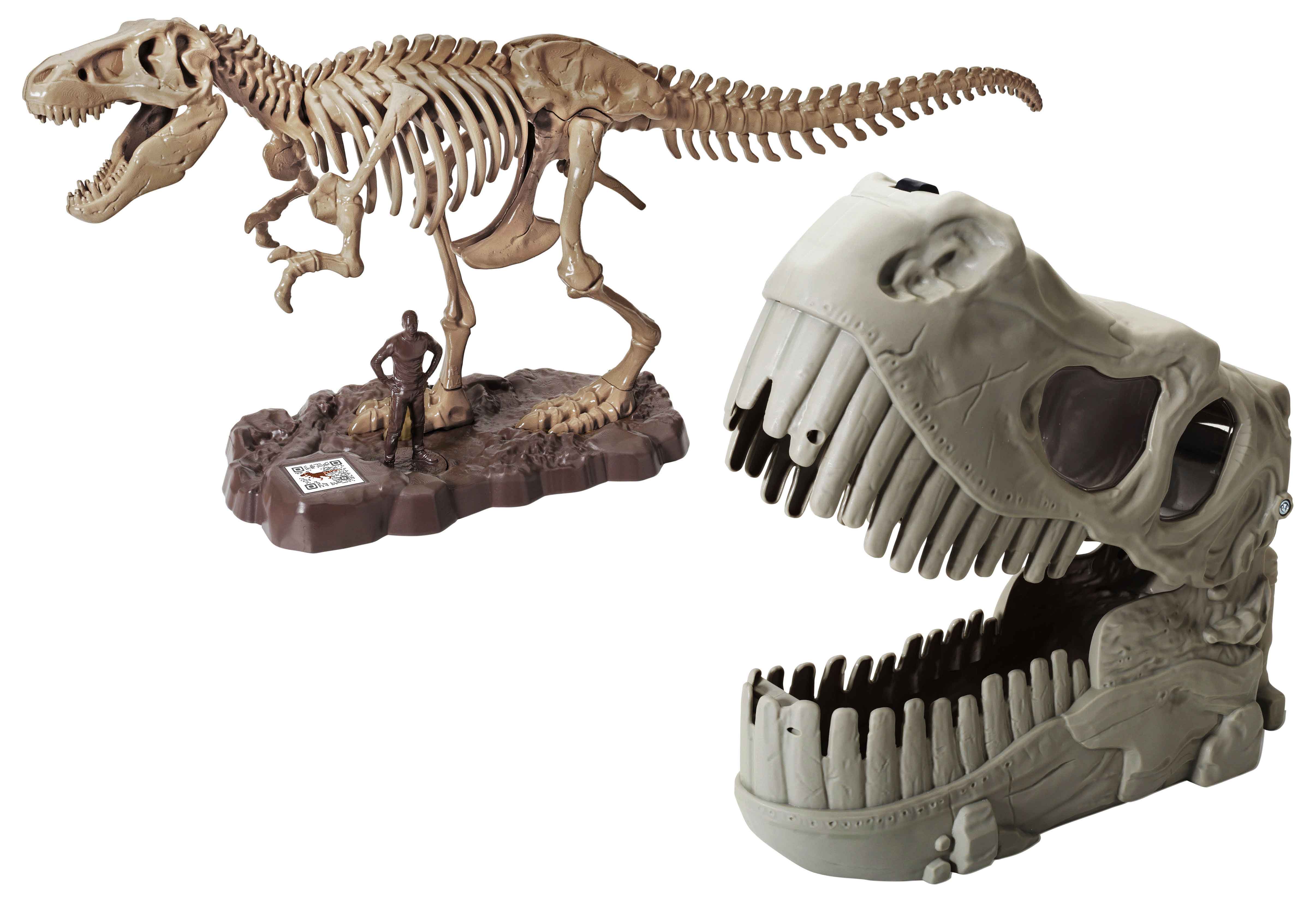 CHAPMEI DINO VALLEY FOSSIL BUCKET HEAD, Ages 3+ — Chapmei