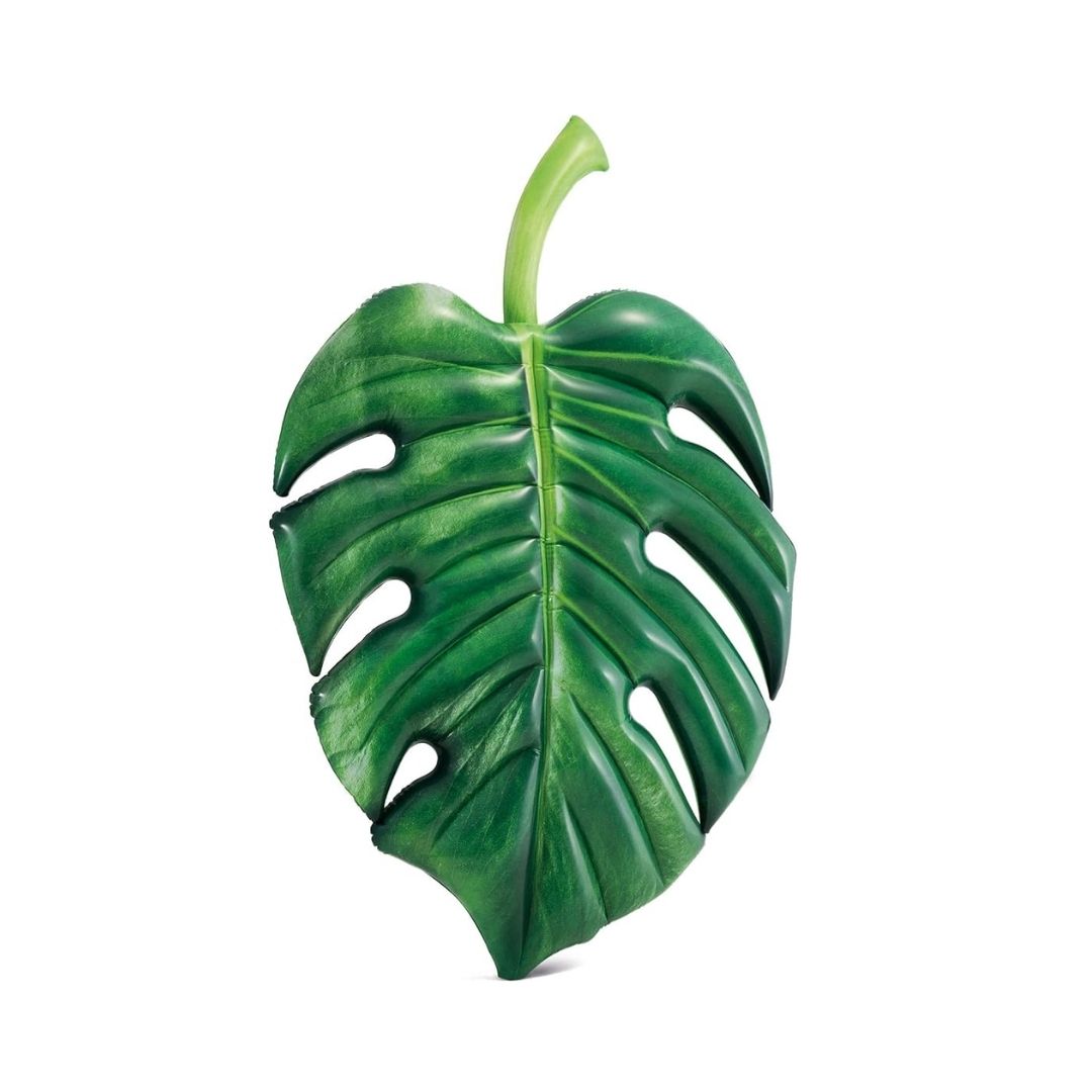 INTEX PALM LEAF MAT, Ages Adult — Intex