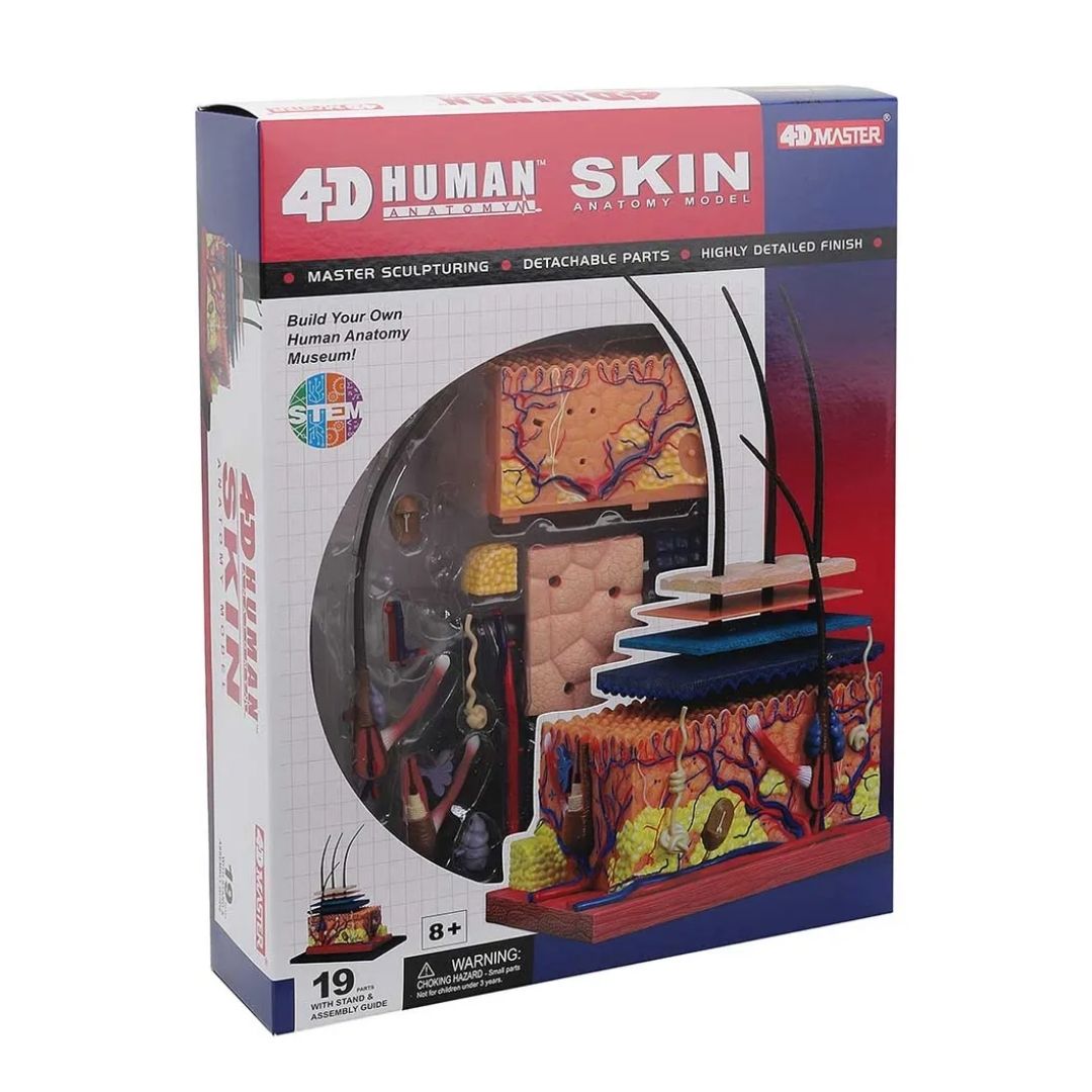 CHAPMEI 4D HUMAN ANATOMY-SKIN SECTION, Ages 8+ — Chapmei