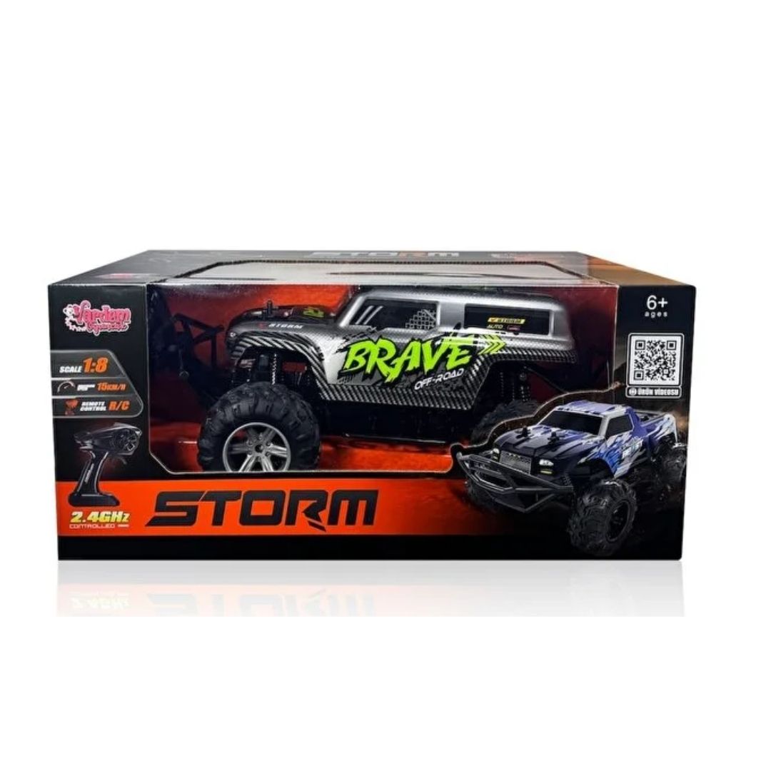 LT RC CARS RC STORM HIGH SPEED 1:10, Ages 6+ — LT